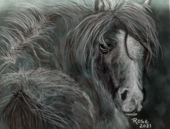 Fuzzy Pony - RoseArt.Gallery