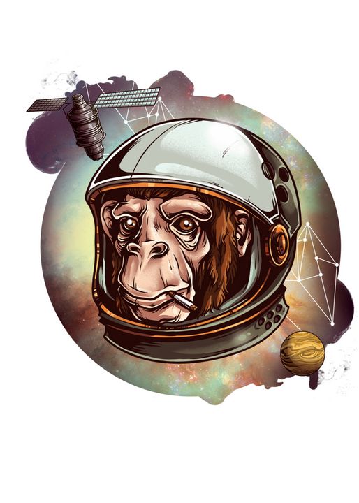 Cosmic chimp - Perfect designers - Digital Art & AI, Astronomy & Space ...