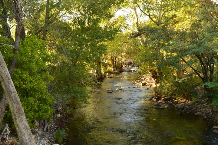 River Stream - Photography by Shellee