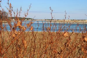 Ogunquit, Maine, USA
