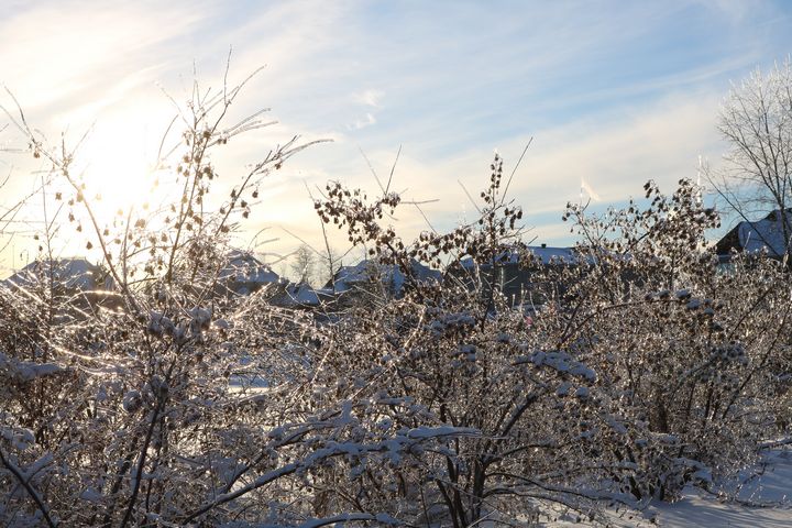 Freezing rain - Antoine Khanji