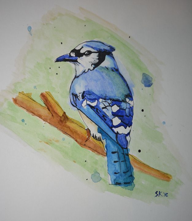 Blue jay drawing  Bird drawings, Drawings, Bird art print