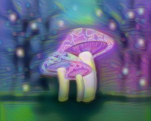 Mystic Mushrooms - Alea Foxstar