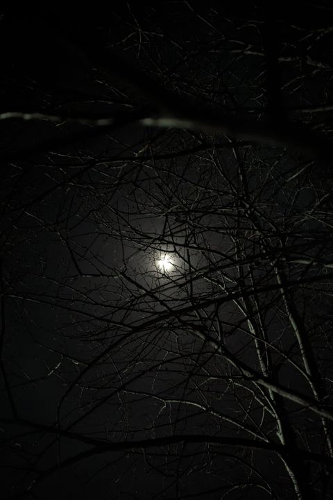 Country moonlight - Kay's Wilderness Photography - Photography ...