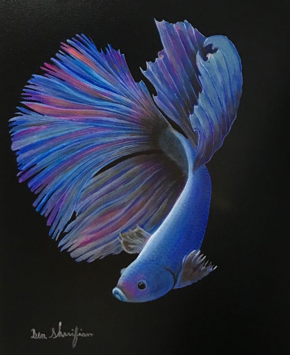 Beta Blue Fish Metallic Colors Art - Ben's Art Studio - Paintings ...