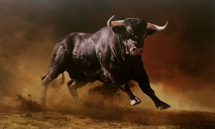 real angry bull