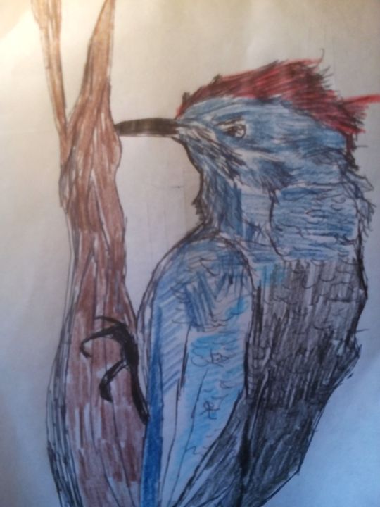 woodpecker - John Vitali Art