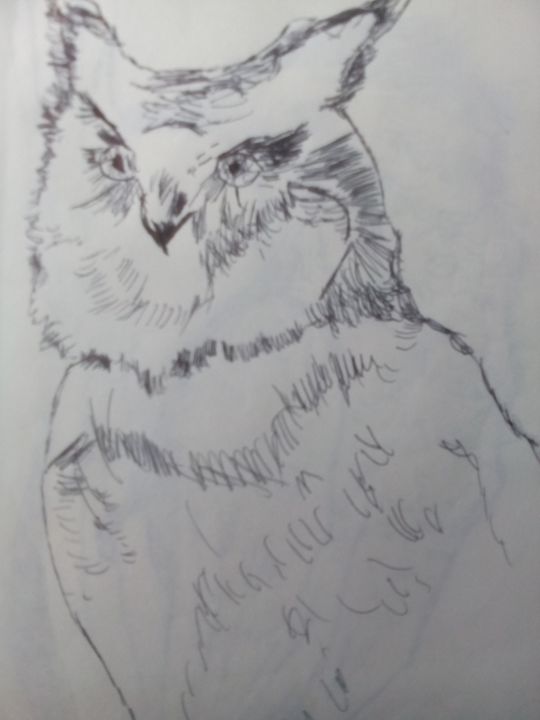 illustration of an owl - John Vitali Art
