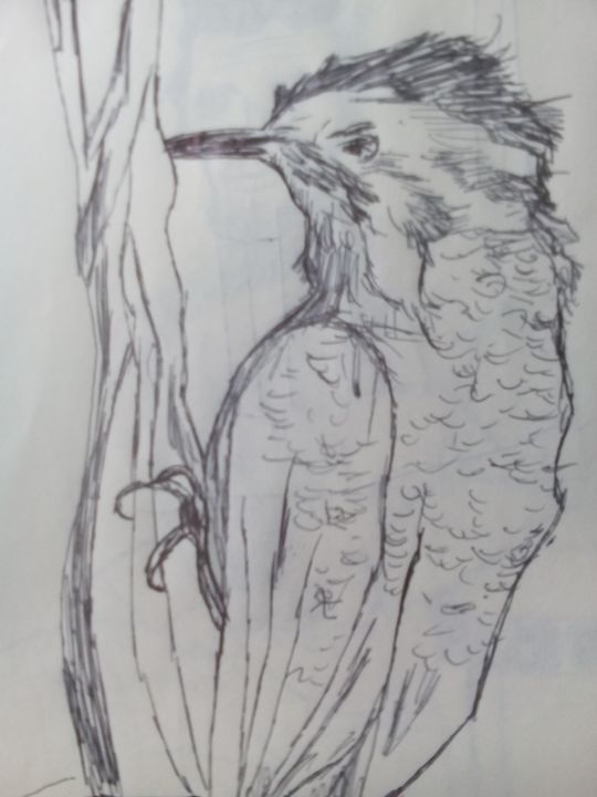 Woodpecker - John Vitali Art