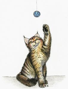 Cat and Ball