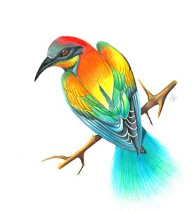 Architectural drawing/Birds wall art - yahviinnovations - Digital Art,  Animals, Birds, & Fish, Birds, Bird of Paradise - ArtPal