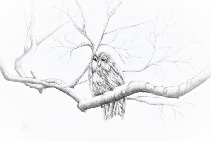 Owl in tree sketch - Natasha Lovell Art