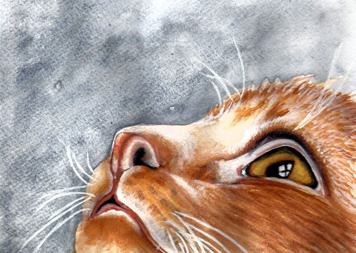 Ginger Watercolour Cat - Natasha Lovell Art - Paintings & Prints, Animals,  Birds, & Fish, Cats & Kittens, Other Cats & Kittens - ArtPal