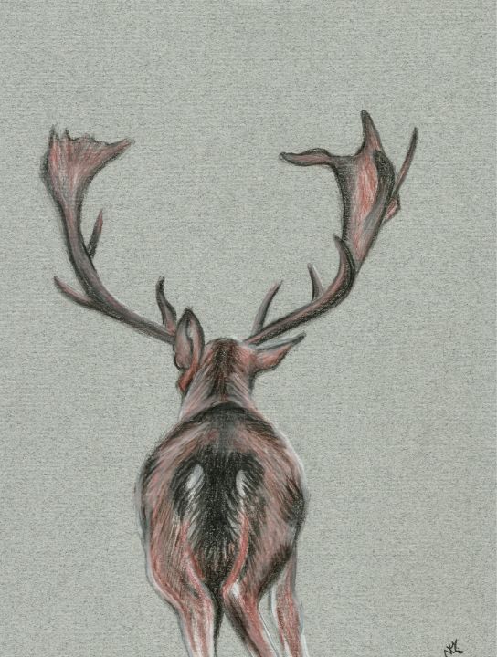 Deer stag illustration - Natasha Lovell Art