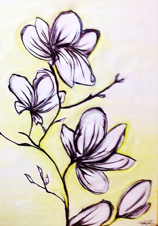 Magnolias - Renad's Impressions