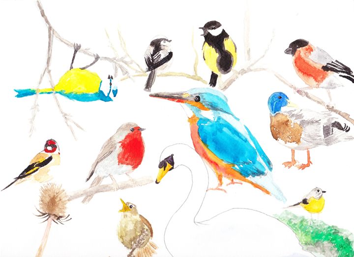 British Wild Birds - T.H Art