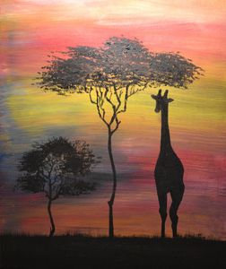 Cute Safari
