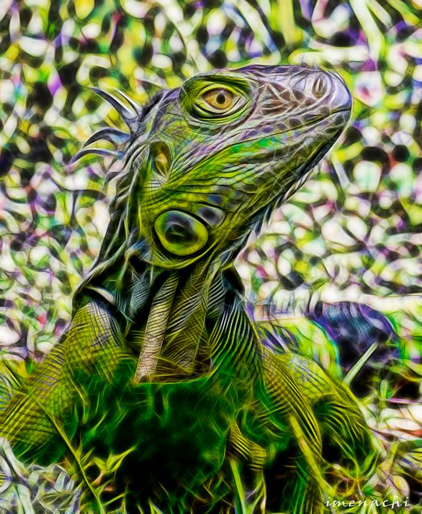 Green Electrical Iguana - imenachi - Digital Art, Animals, Birds ...
