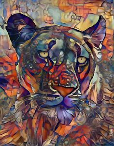 Sunset leon, 70x50 cm - Lion - L.ROCHE
