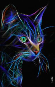 Zorba néon, cat - 78 x 50 cm