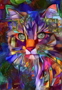 Salina Rainbow, cat - 72x50 cm
