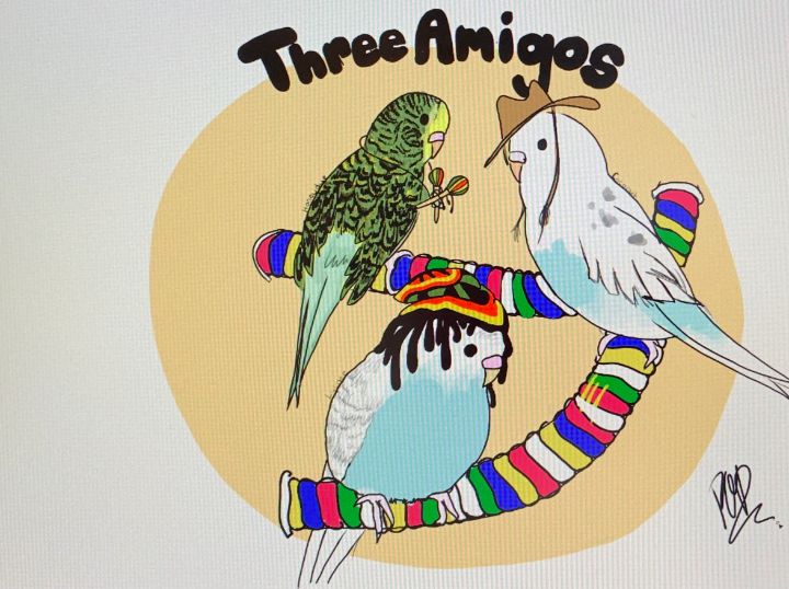 Three Amigos - Paige’s art