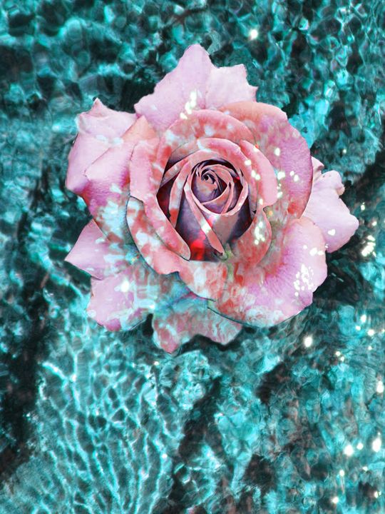 Sea Rose - Cristina Cerminara