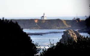 Lighthouse on the Oregon Coast 3