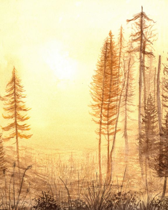 Yellow Sunrise through Misty Forest - Artigiani Fine Arts Gallery ...