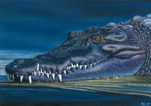 Crocodile - Anni Kråka