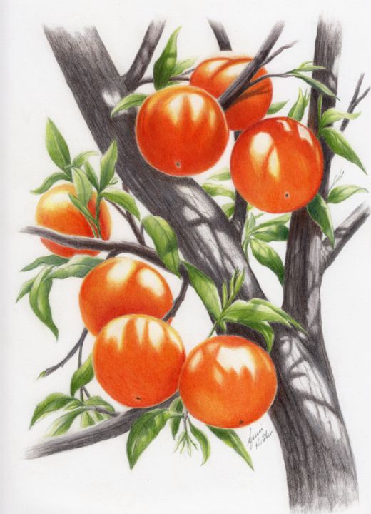 Watercolor Orange Trees Clipart JPG Graphic by KiwiCakeStudio · Creative  Fabrica