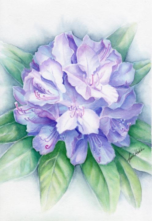 Rhododendron - Anni Krka - Paintings & Prints, Flowers, Plants, & Trees,  Flowers, Flowers I-Z, Rhododendron - ArtPal