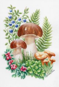 Mushrooms and berries