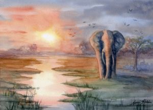 Elephant by waterhole