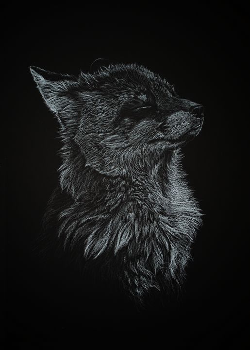 Red fox - AilyArt
