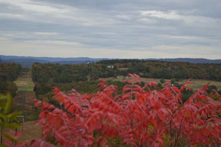 Scenic Overlook - Mountains of Arkansas