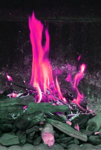 PINK FLAMES