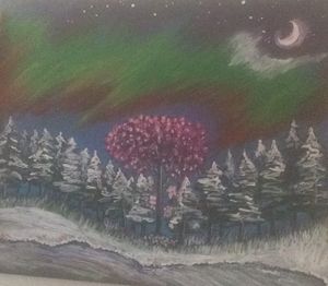 Northern lights