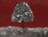 Gray Tree with Red Sky