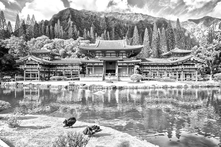 Byodo-In Buddhist Temple - Flat Owl Photography
