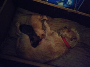 New Life