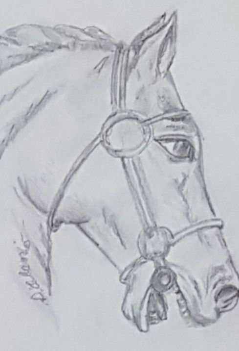 This print is so pure, as if a drop of rain would hurt him... | Horse  drawings, Horse art drawing, Horses