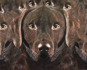Abstract Chocolate Labrador