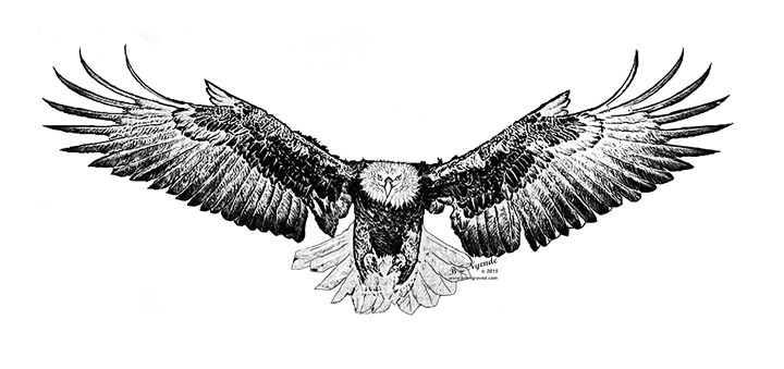 Black & Gold Eagle - Adapt Art - Digital Art, Animals, Birds, & Fish,  Birds, Eagles, Bald Eagles - ArtPal