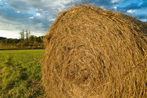 Haybale and Approaching Storm