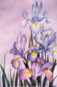 Four Irises