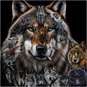 Lonely Wolf - Arianna Morelli (instagram: arianna_moreart