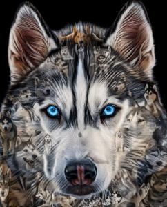 husky ninja - Giddo Pals - Digital Art, Animals, Birds, & Fish