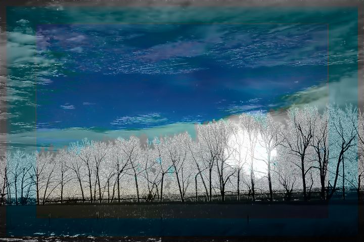 Highway trees - Elaine Hunter