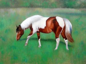 Painted Horse in Pasture